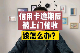 镇宁清债公司——债务危机的克星，您的专业债务解决方案提供商