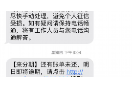 讨债的狐狸免费阅读：揭秘现代金融江湖的神秘故事