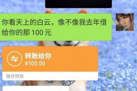 诏安收债公司排名：揭秘专业债收领域的佼佼者